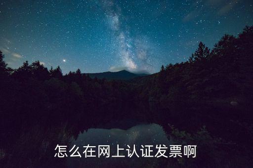 怎么在網(wǎng)上認證發(fā)票啊