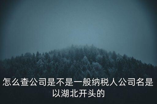 如何查詢(xún)企業(yè)是否是一般納稅人，怎么查公司是不是一般納稅人公司名是以湖北開(kāi)頭的