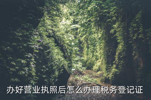 辦好營(yíng)業(yè)執(zhí)照后怎么辦理稅務(wù)登記證