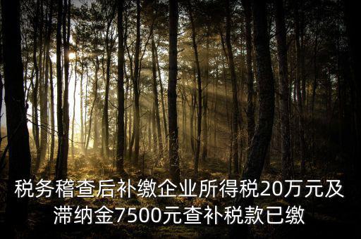 稅務(wù)稽查后補(bǔ)繳企業(yè)所得稅20萬(wàn)元及滯納金7500元查補(bǔ)稅款已繳