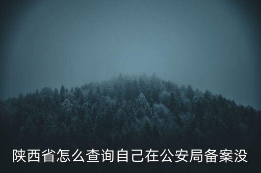 陜西省怎么查詢自己在公安局備案沒(méi)