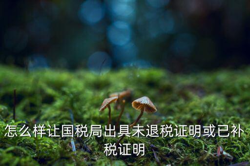 怎么樣讓國(guó)稅局出具未退稅證明或已補(bǔ)稅證明