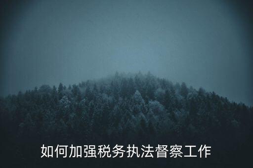 如何加強(qiáng)稅務(wù)執(zhí)法督察工作