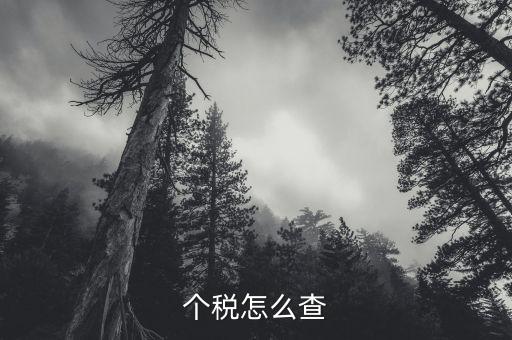 個(gè)稅怎么查