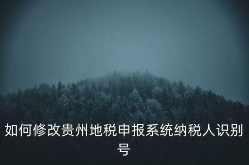 如何修改貴州地稅申報系統(tǒng)納稅人識別號