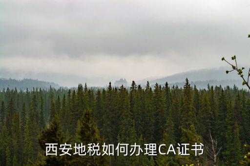 如何申請(qǐng)地稅ca證書，西安地稅如何辦理CA證書