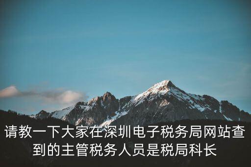 請教一下大家在深圳電子稅務(wù)局網(wǎng)站查到的主管稅務(wù)人員是稅局科長