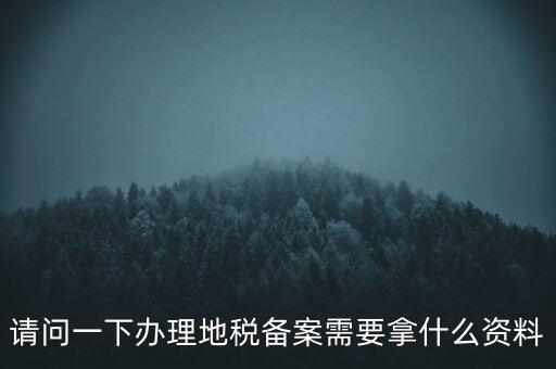 請(qǐng)問(wèn)一下辦理地稅備案需要拿什么資料