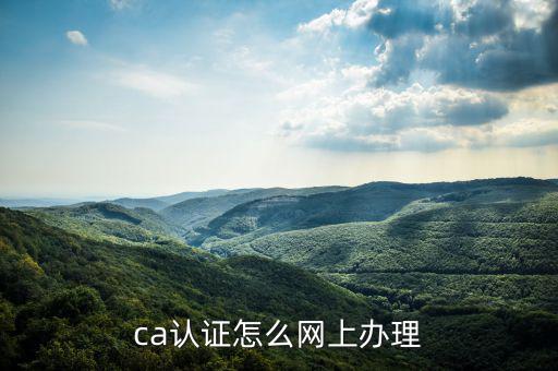 四川網(wǎng)上稅務(wù)如何ca登錄，ca證書如何登錄國稅