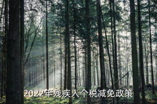 2022年殘疾人個稅減免政策