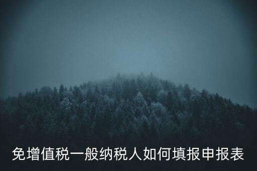 免稅如何填寫申報表，免稅企業(yè)如何填報增值稅納稅申報表