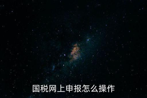 國稅網(wǎng)上申報怎么操作