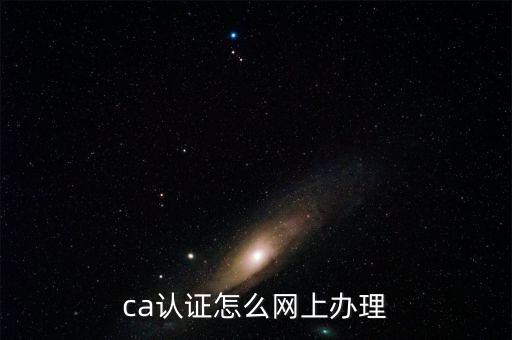 ca認證怎么網(wǎng)上辦理