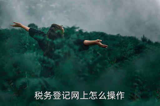 稅務登記網(wǎng)上怎么操作