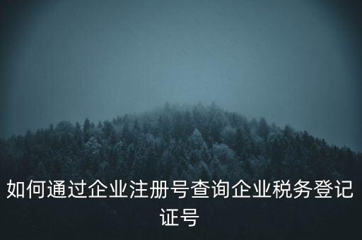 如何查詢公司稅務(wù)編號查詢系統(tǒng)，公司的稅務(wù)登記證號怎么查詢