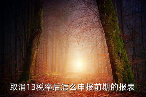 取消13稅率申報表如何填，13的稅率沒了納稅申報以后怎么辦