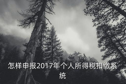 怎樣申報2017年個人所得稅扣繳系統(tǒng)