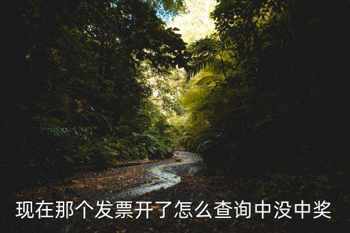 現(xiàn)在那個(gè)發(fā)票開了怎么查詢中沒中獎(jiǎng)