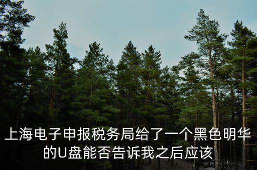 上海電子申報(bào)稅務(wù)局給了一個(gè)黑色明華的U盤能否告訴我之后應(yīng)該