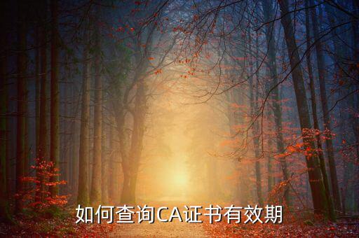 地稅ca如何查詢有效期，從哪里查地稅CA證書過期沒