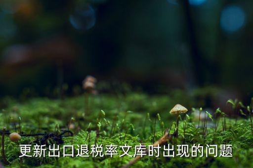 出口退稅文庫如何更新，請問各位出口退稅系統(tǒng)里的代碼庫怎么更新啊怎么老沒反應的呢