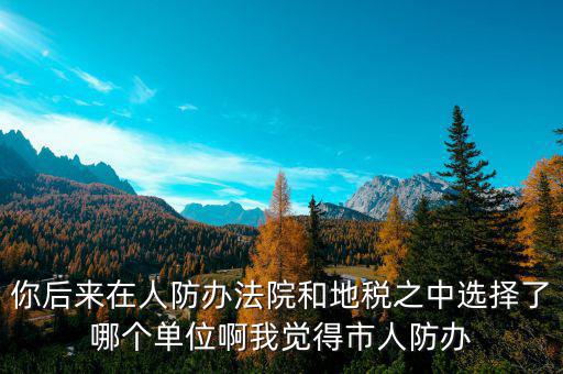 你后來在人防辦法院和地稅之中選擇了哪個單位啊我覺得市人防辦