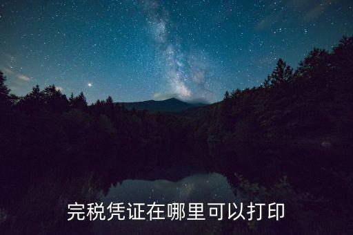 完稅憑證在哪里可以打印