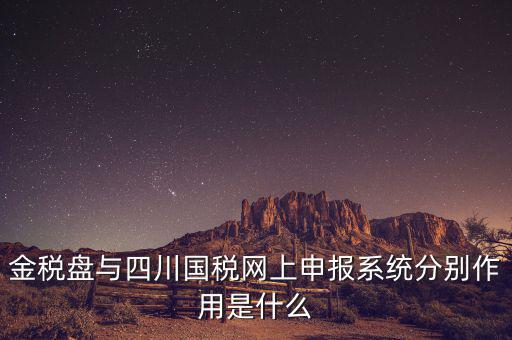 金稅盤與四川國稅網(wǎng)上申報系統(tǒng)分別作用是什么