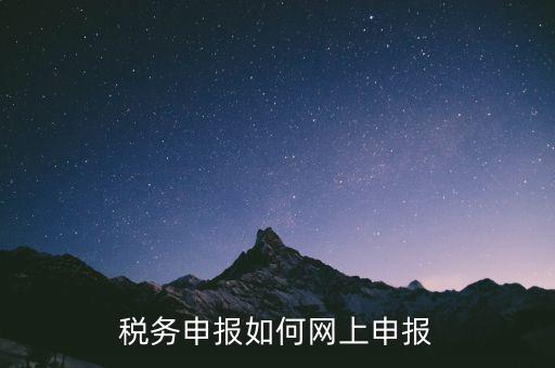 網(wǎng)上系統(tǒng)如何申報(bào)稅，稅務(wù)申報(bào)如何網(wǎng)上申報(bào)