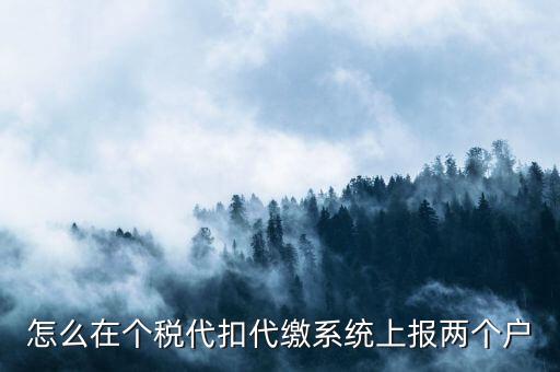 怎么在個稅代扣代繳系統(tǒng)上報兩個戶