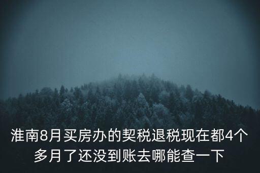 淮南8月買房辦的契稅退稅現(xiàn)在都4個(gè)多月了還沒到賬去哪能查一下