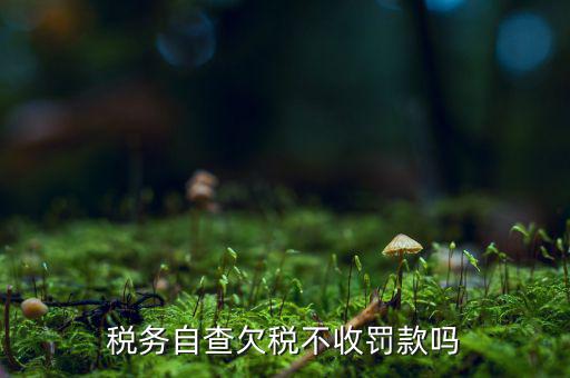 欠稅人員如何查詢，稅務(wù)自查欠稅不收罰款嗎