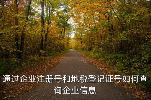 山東 如何查企業(yè)稅務(wù)信息，通過企業(yè)注冊(cè)號(hào)和地稅登記證號(hào)如何查詢企業(yè)信息