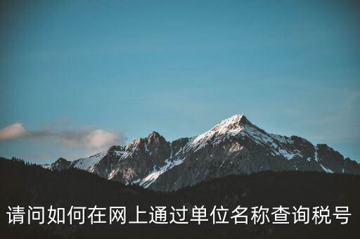 稅號如何查詢網(wǎng)站，怎么在網(wǎng)上查企業(yè)稅號