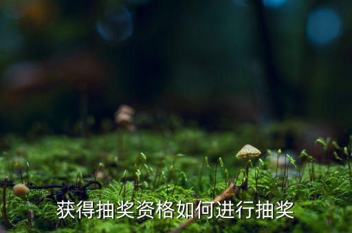 獲得抽獎(jiǎng)資格如何進(jìn)行抽獎(jiǎng)