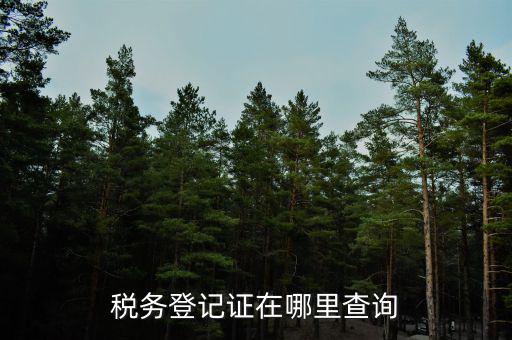 如何查地稅證書，如何查看個人名下的稅務(wù)證