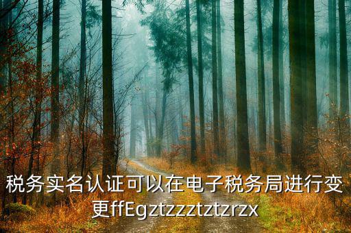 稅務(wù)實(shí)名認(rèn)證可以在電子稅務(wù)局進(jìn)行變更ffEgztzzztztzrzx