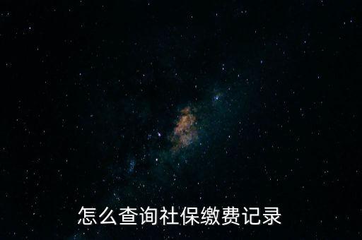 如何在地稅網(wǎng)繳納社保查詢，單位交了社保費在地稅網(wǎng)怎么查詢