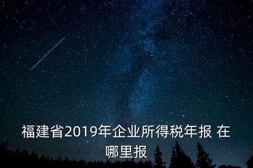 福建省2019年企業(yè)所得稅年報 在哪里報