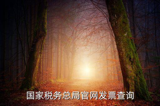 江蘇國稅如何查詢發(fā)票，江蘇發(fā)票真?zhèn)尾樵內(nèi)绾尾樵兘K發(fā)票真?zhèn)尾樵內(nèi)绾尾樵冏钪匾氖沁M