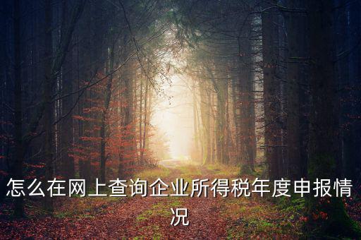 怎么在網(wǎng)上查詢企業(yè)所得稅年度申報情況