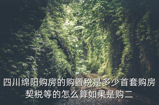 四川綿陽購房的購置稅是多少首套購房契稅等的怎么算如果是購二