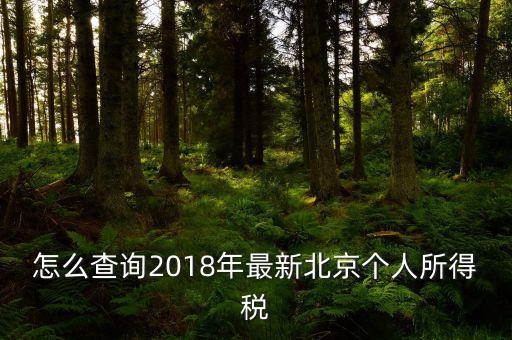 北京如何查詢個(gè)稅完稅證明，怎么查詢2018年最新北京個(gè)人所得稅