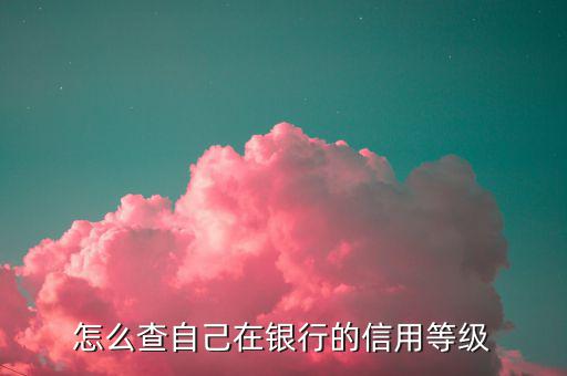 如何查納稅人信用等級，如何確認(rèn)企業(yè)為納稅信用A級增值稅一般納稅人