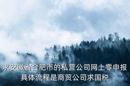 求安徽省合肥市的私營公司網(wǎng)上零申報(bào)具體流程是商貿(mào)公司求國稅