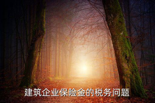 保險公司稅務(wù)管理如何處理，建筑企業(yè)保險金的稅務(wù)問題