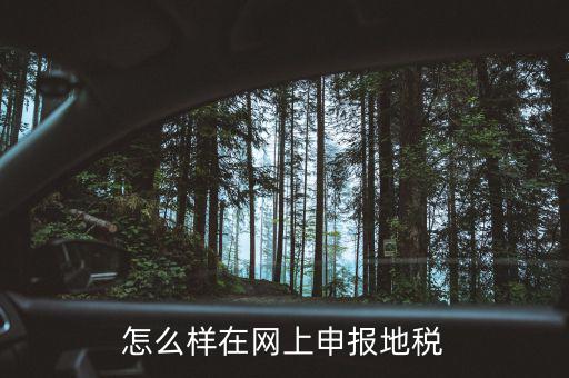 地稅網(wǎng)站如何注冊，地稅網(wǎng)上申報注冊怎么操作