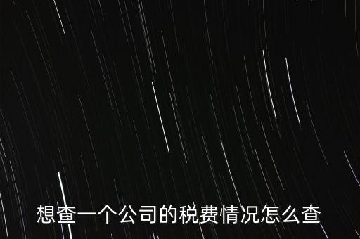 如何查詢公司納稅記錄查詢，想查一個公司的稅費(fèi)情況怎么查