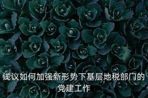 淺議如何加強(qiáng)新形勢下基層地稅部門的黨建工作