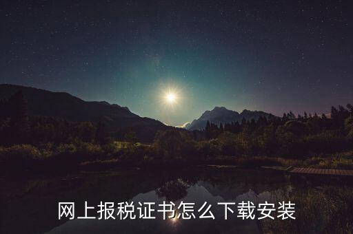 如何下載電子稅務(wù)印章，網(wǎng)上報(bào)稅證書怎么下載安裝